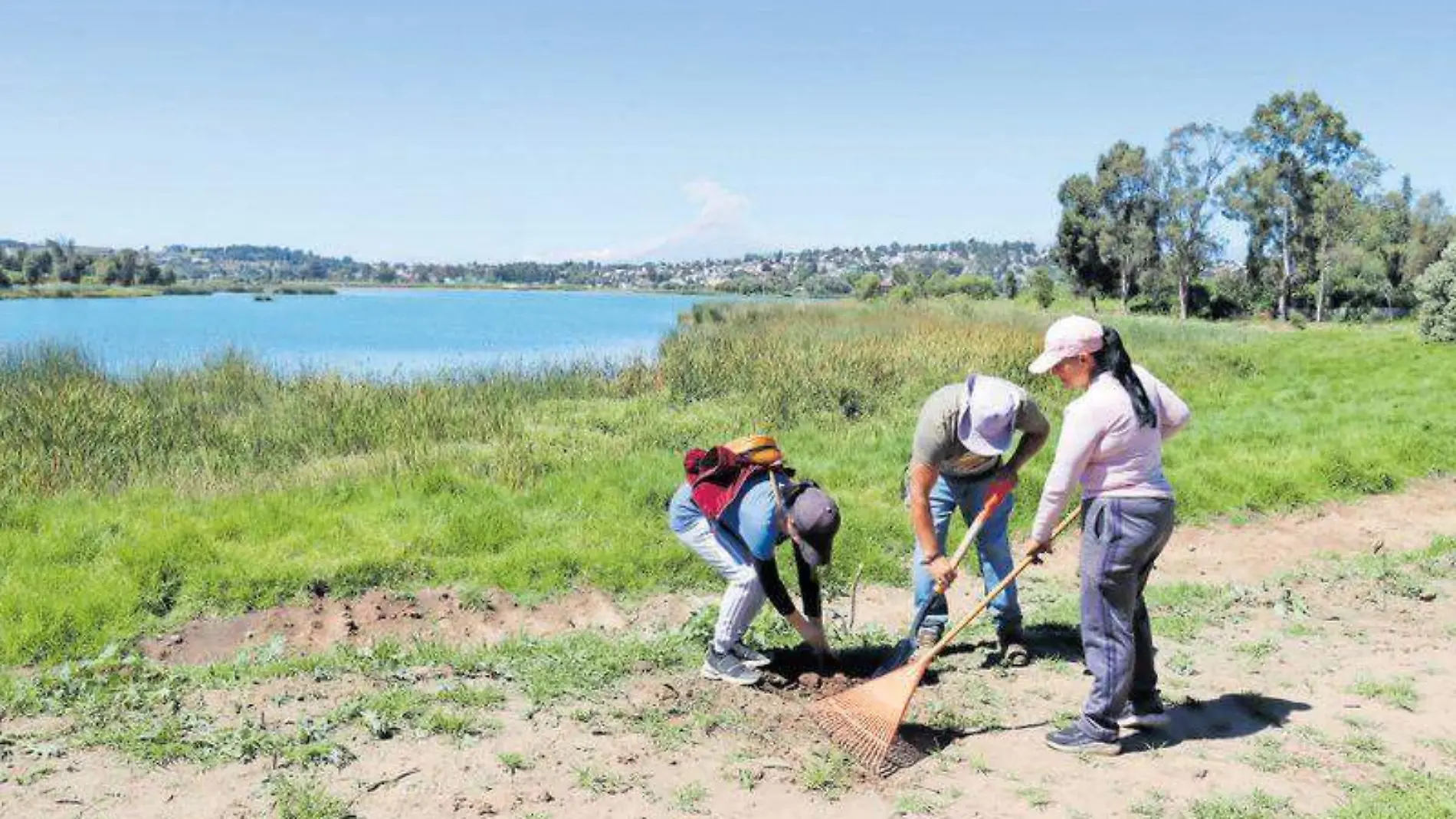 REFORESTACIÓN LAGUNA 1